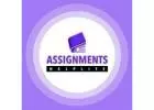 Assignments Help Lite