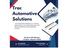 Gas Struts
