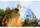 Tree Removal in Mississauga
