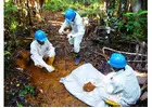 Gold Production Consulting Company