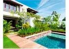 Eco-Friendly Upkeep for Lush Ibiza Gardens | ALIA Management Ibiza