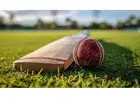 OSMSturf Box Cricket Turf | Fast Install, Pro Quality