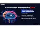 What Is a Large Language Model?