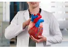 B.Sc. Cardiovascular Technology Course at Apollo AHA