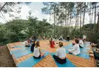 Corporate Wellness Consultant – Empowering Healthier, Happier Workplaces