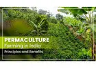 Permaculture and Its Principles for Starting Farming