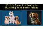 EMF Defense Pet Pendants: Shielding Your Furry Friend, The Ultimate Guide