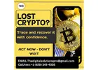 Fast & Reliable Crypto Recovery with The Digital Solution