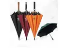 Get Custom Umbrellas Wholesale Collection for Branding Purposes