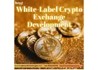 Skip the Struggles, Go Live Faster with White Label Crypto Exchange Development - Beleaf Technologie