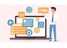 Reliable Custom WordPress Development Services