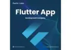 Well-known Flutter App Development Company in California