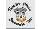 Timeless Studio graphic design services