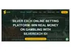 Elevate your betting experience with Silverexch