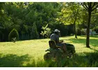 Expert Weed Control Backed by Trusted Lawn Care
