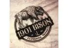 Bison for sale in texas
