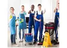 Carpet Cleaning specialist Adelaide