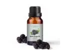 Black Berry Fragrance Oil