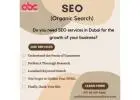 Do you need SEO services in Dubai for the growth of your business?