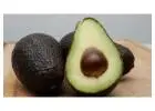 An Avocado A Day May Improve Diet Quality