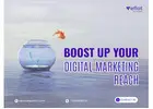 Digital Marketing Agency in Gwalior