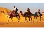 Explore Royal India with Rajasthan Travel Packages – Book Your Journey Today!