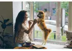 Busy Pet Parent Offers Pet Care for Busy People with Smart Tips and Space-Saving Products