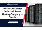 Connect With Best Dedicated Server Hosting Company in Canada