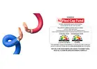 NJ Flexi Cap Funds: A Rule Based Dynamic Equity Scheme