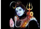  Black Magic Expert Baba +91 8875513486 Trusted Vashikaran Specialist Astrologer IN Panvel Amravati