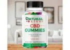Natural Bliss CBD Gummies: Elevate Your Relaxation