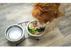 Best Food for Obese Dogs Dubai