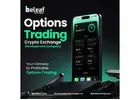 Advanced Trading Made Simple with Options Exchange Development
