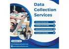Best Data Collection Services in India