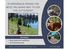 Is Horseback Riding the Most Relaxing Way to See the Outdoors?