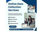 Best Online Data Collection Services in India