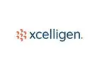 AI Development Services Company