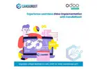 Trusted Odoo Implementation Services by CandidRoot