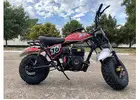 ATVs for Sale | 4 Wheelers For Adults, Youth & Kids | Quads Online
