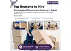 Professional Movers and Packers in Dubai