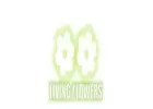 Living Flowers – Fresh Birthday Flowers