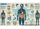 Understanding Digestive Disorders Symptoms for Better Gut Health