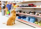 Popular Pet Store in Singapore – Shop Pet Food, Toys & Supplies