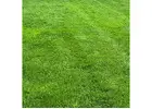 DreamLawn – Best Lawn Care in Leawood, Overland Park & Prairie Village
