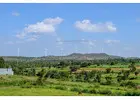 Things to Do In Chikmagalur