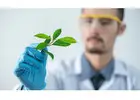 Drug Addiction Treatment Centre In Delhi - Humana Wellness Centre
