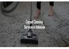 Get a 14-day satisfaction guarantee with all-inclusive Carpet Cleaning Services Adelaide