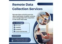 Best Remote Data Collection Services in India