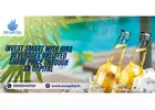 Invest Smart with Bira Beverages Unlisted Share Price through SN Capital
