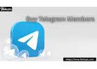 How to Buy Telegram Members for Faster Growth Online